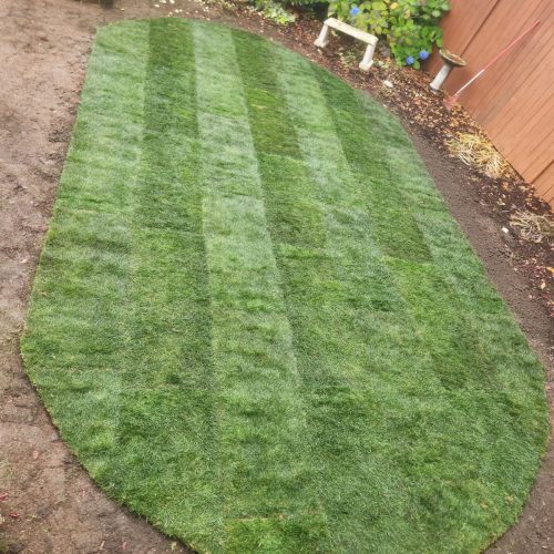 473379796_122221768430197559_8656074468840814832_n