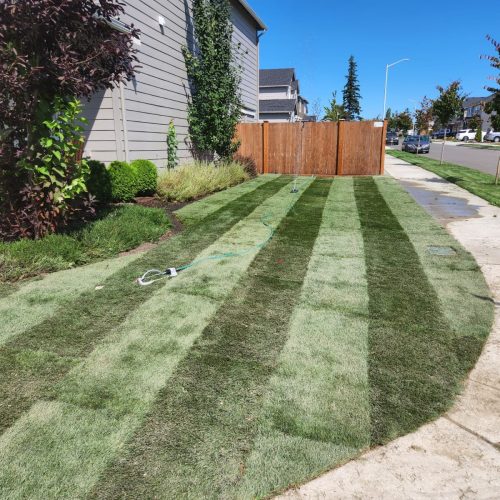 473749588_122221767770197559_105299480257064584_n