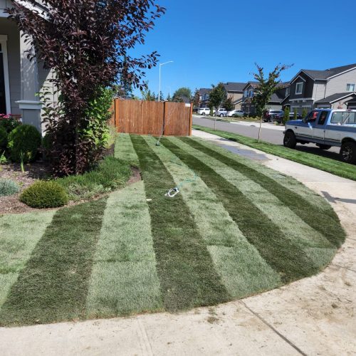 474066335_122221767758197559_5288976409875638794_n