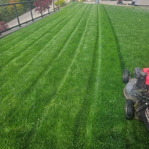 477387387_122228323814197559_5971704823755289856_n