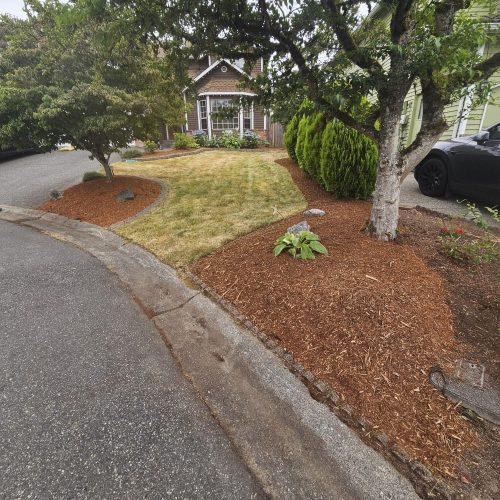 481169581_122234160584197559_2945634710561761205_n